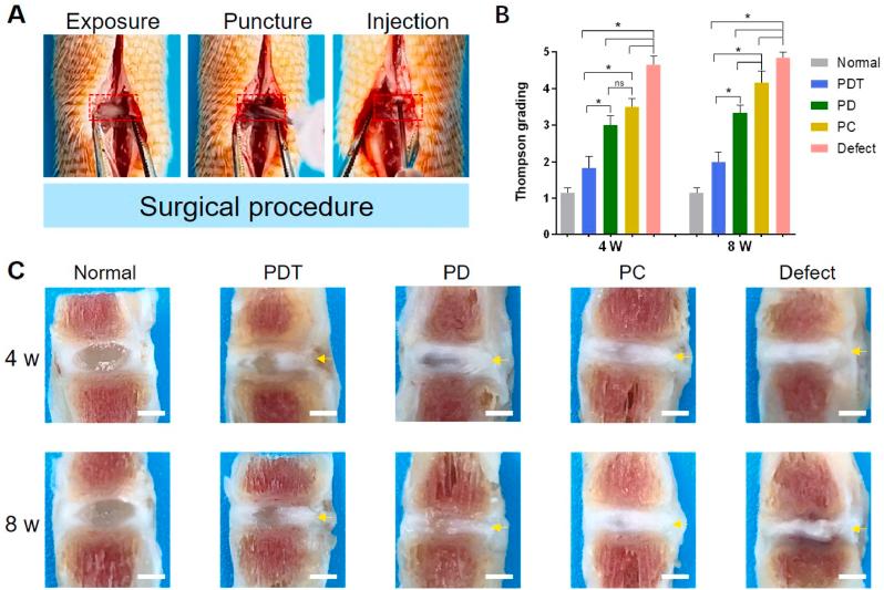 https://cdn.ncbi.nlm.nih.gov/pmc/blobs/974a/9108517/6cf14b67b1c6/gr5.jpg