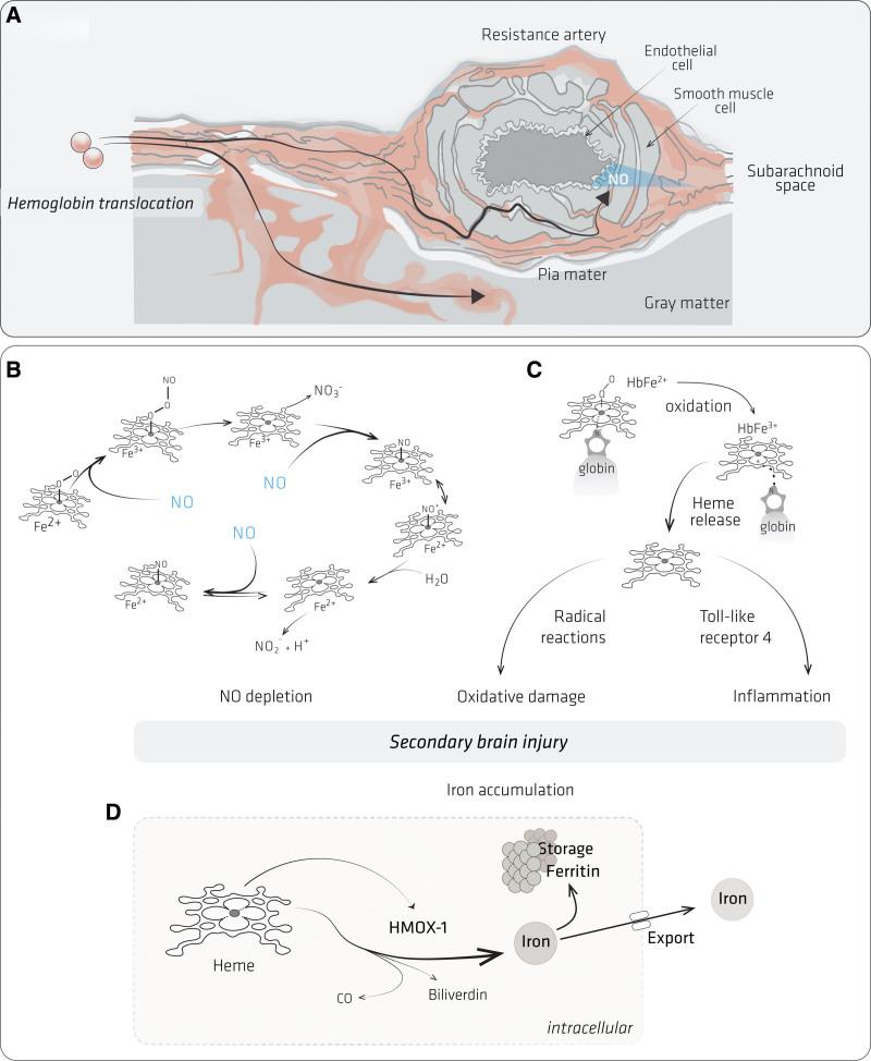 https://cdn.ncbi.nlm.nih.gov/pmc/blobs/9750/10289236/4d34592e6eea/str-54-1930-g002.jpg