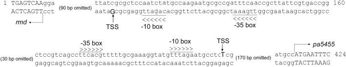 https://cdn.ncbi.nlm.nih.gov/pmc/blobs/9750/3560663/7148938260c8/mbo0011314260002.jpg