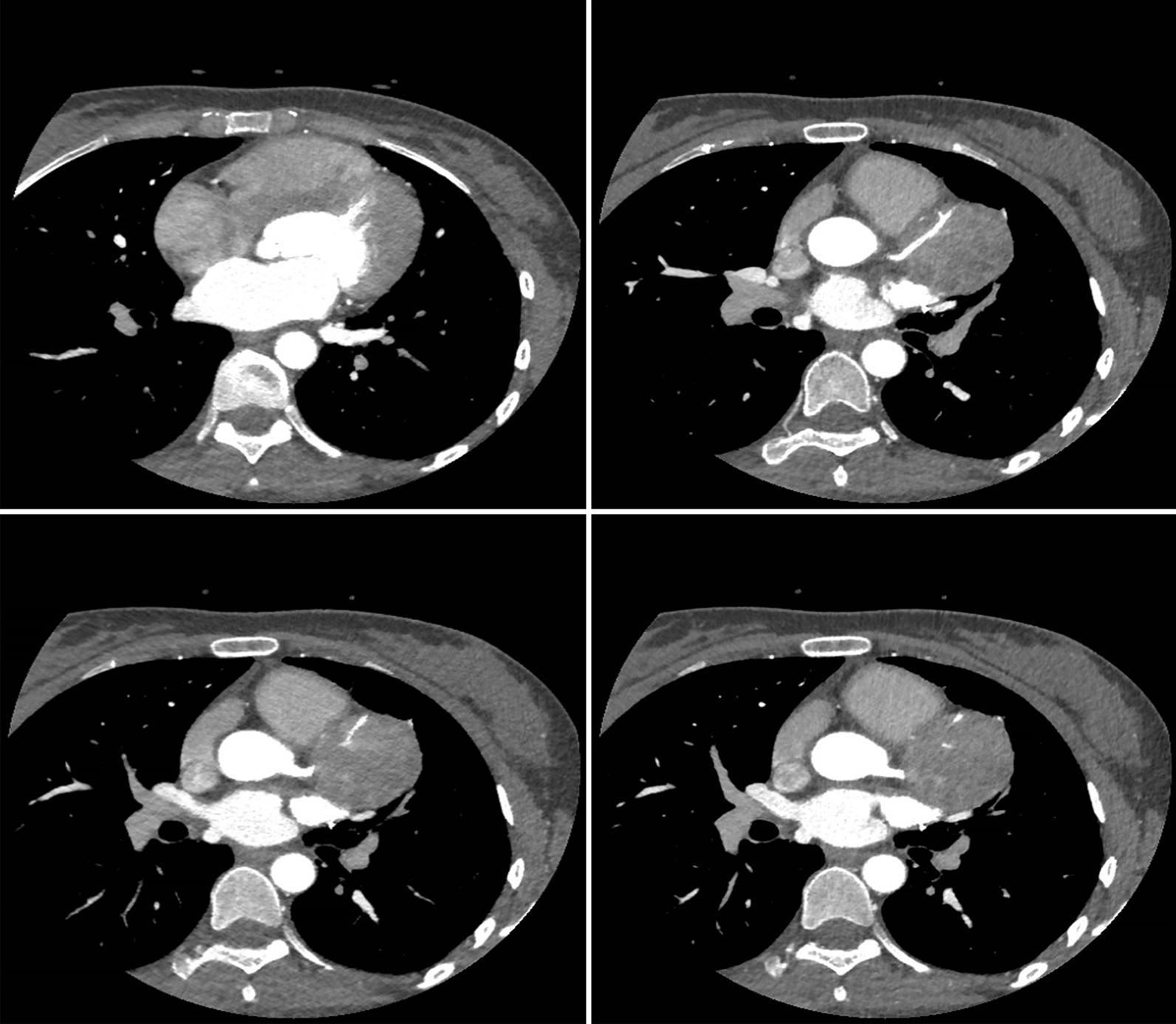 https://cdn.ncbi.nlm.nih.gov/pmc/blobs/9752/8207573/7f95cc54f6d6/12872_2021_2113_Fig4_HTML.jpg