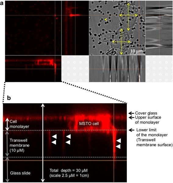 https://cdn.ncbi.nlm.nih.gov/pmc/blobs/9753/5683209/aaf054ec3932/12964_2017_201_Fig2_HTML.jpg