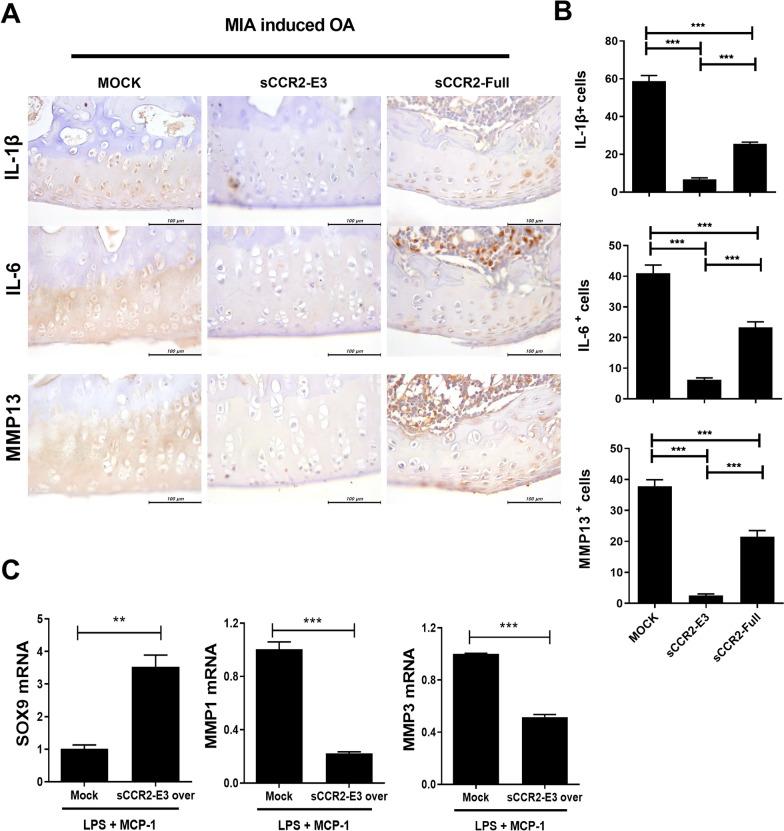 https://cdn.ncbi.nlm.nih.gov/pmc/blobs/9754/9503236/3acb785ef9ca/12967_2022_3515_Fig4_HTML.jpg