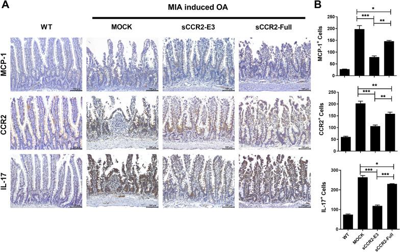 https://cdn.ncbi.nlm.nih.gov/pmc/blobs/9754/9503236/9250a9b594a7/12967_2022_3515_Fig6_HTML.jpg