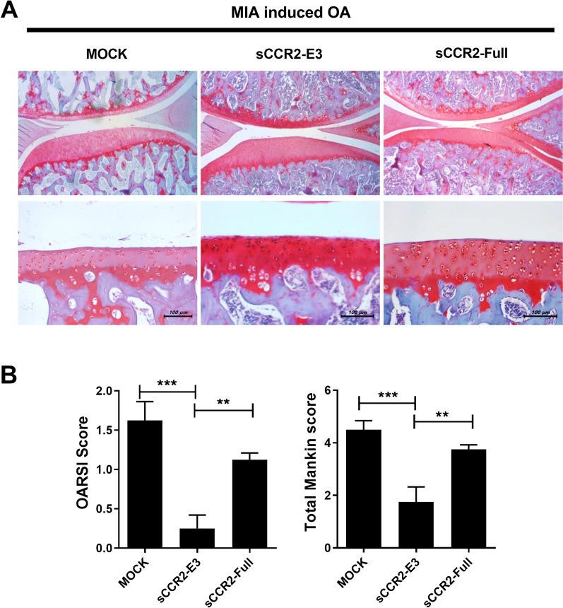 https://cdn.ncbi.nlm.nih.gov/pmc/blobs/9754/9503236/9f25c40e20c6/12967_2022_3515_Fig3_HTML.jpg