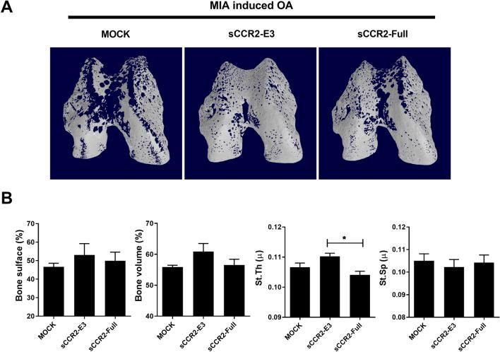https://cdn.ncbi.nlm.nih.gov/pmc/blobs/9754/9503236/e946de7edddc/12967_2022_3515_Fig2_HTML.jpg