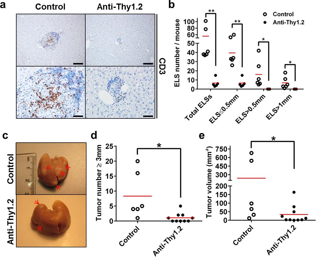 https://cdn.ncbi.nlm.nih.gov/pmc/blobs/9755/4653079/4d075b97e16e/nihms721671f6.jpg