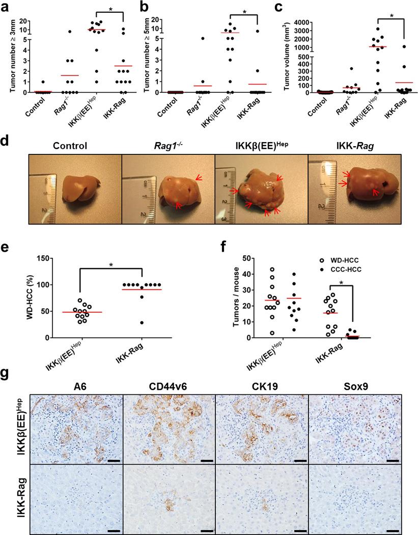 https://cdn.ncbi.nlm.nih.gov/pmc/blobs/9755/4653079/7b90e4e617ac/nihms721671f5.jpg