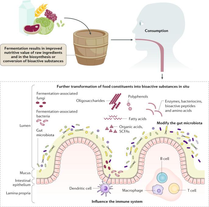 https://cdn.ncbi.nlm.nih.gov/pmc/blobs/9756/7925329/5ffe0f532c6c/41575_2020_390_Fig2_HTML.jpg