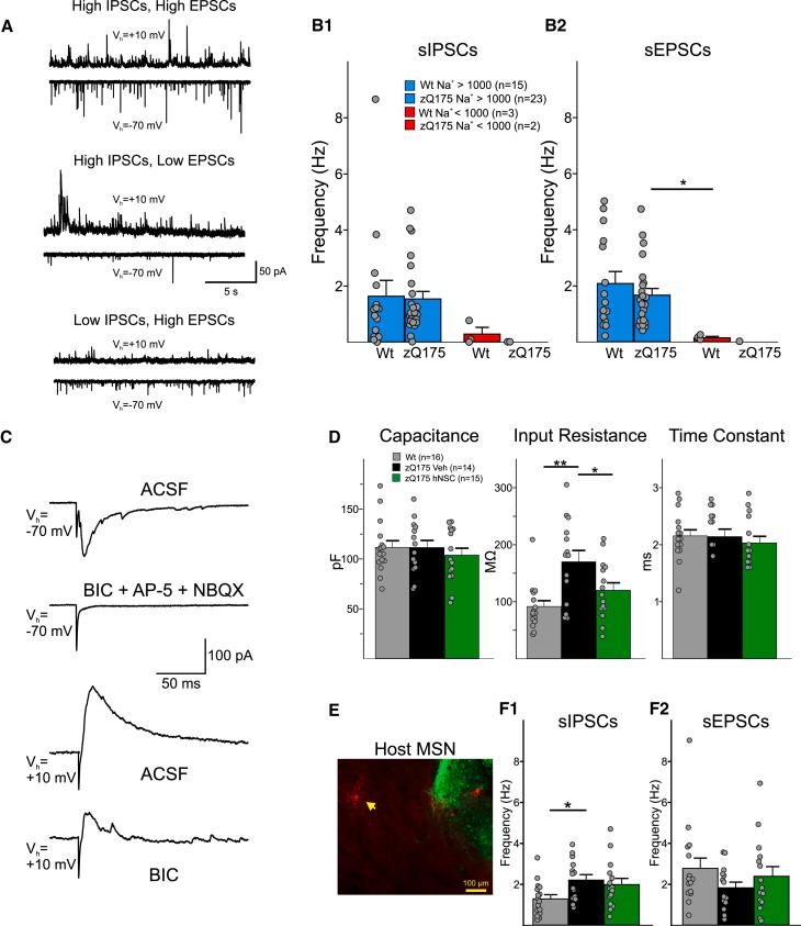https://cdn.ncbi.nlm.nih.gov/pmc/blobs/9758/10727970/200776400e10/gr6.jpg