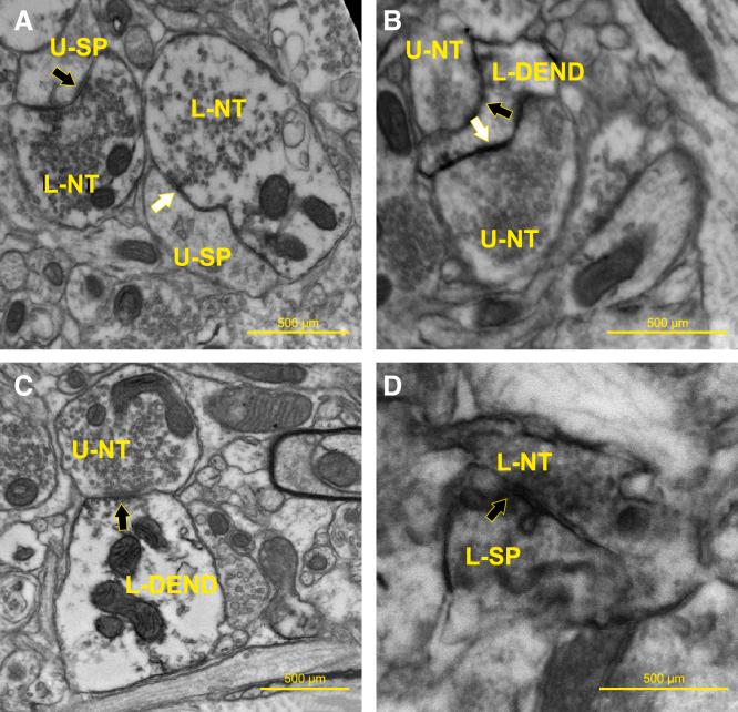 https://cdn.ncbi.nlm.nih.gov/pmc/blobs/9758/10727970/b6a49d411f67/gr8.jpg