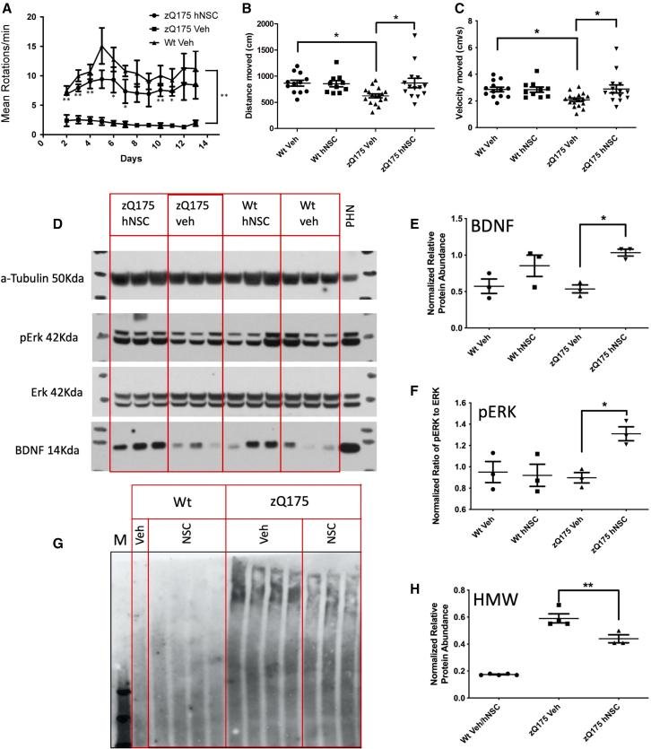 https://cdn.ncbi.nlm.nih.gov/pmc/blobs/9758/10727970/ed84ae3c4dc8/gr2.jpg
