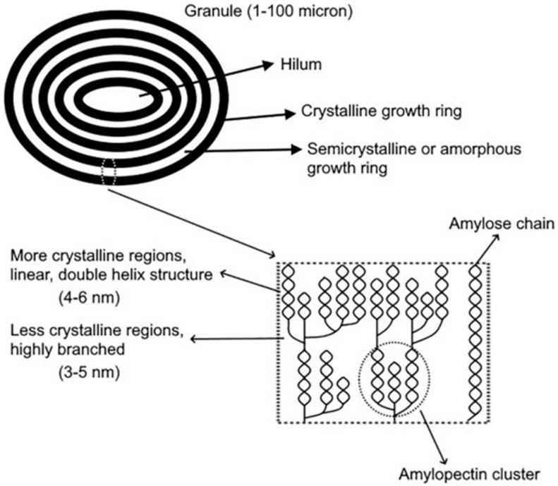 https://cdn.ncbi.nlm.nih.gov/pmc/blobs/9758/11723384/83aca27fcf2c/polymers-17-00015-g001.jpg