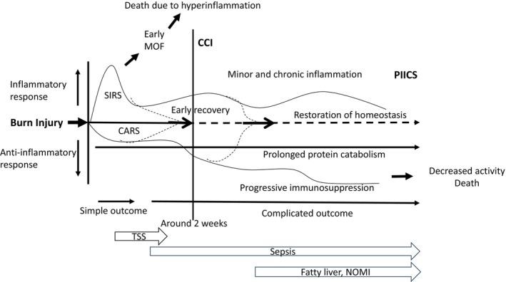 https://cdn.ncbi.nlm.nih.gov/pmc/blobs/9759/11184575/c72db930bfe2/AMS2-11-e976-g001.jpg