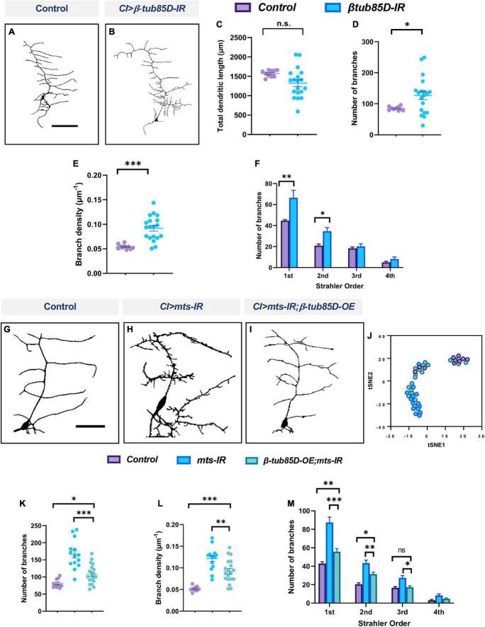https://cdn.ncbi.nlm.nih.gov/pmc/blobs/975a/9702092/5c3d728049cc/fnmol-15-926567-g012.jpg