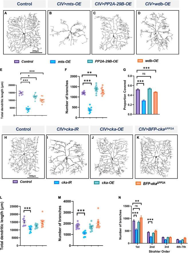 https://cdn.ncbi.nlm.nih.gov/pmc/blobs/975a/9702092/982774c70259/fnmol-15-926567-g002.jpg