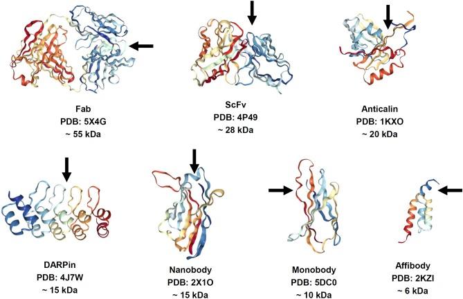 https://cdn.ncbi.nlm.nih.gov/pmc/blobs/975e/6207587/04f6c326a878/fphar-09-01208-g001.jpg