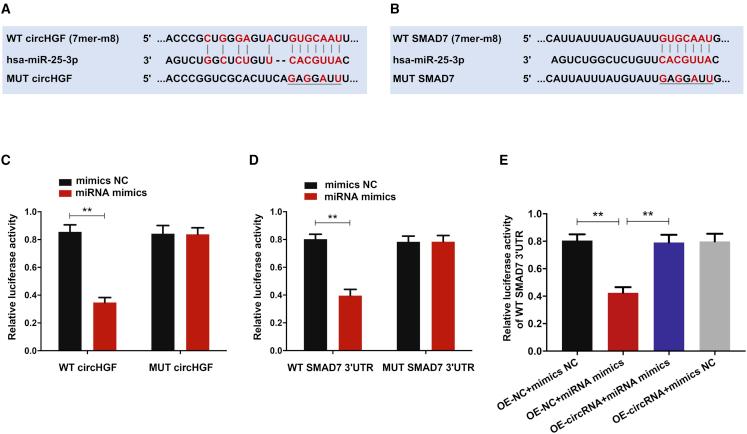 https://cdn.ncbi.nlm.nih.gov/pmc/blobs/975f/8938254/8a10cab759f6/gr8.jpg