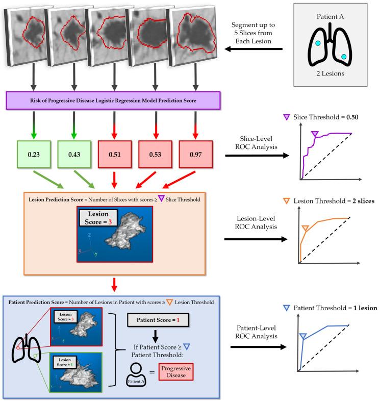 https://cdn.ncbi.nlm.nih.gov/pmc/blobs/9762/11719007/c08a950c74d6/cancers-17-00058-g002.jpg