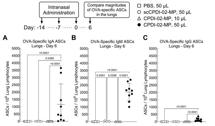 https://cdn.ncbi.nlm.nih.gov/pmc/blobs/9762/9502690/e93bde877b9c/pharmaceutics-14-01843-g002.jpg