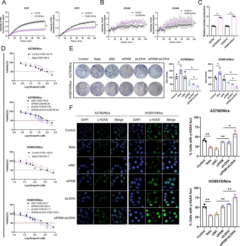 https://cdn.ncbi.nlm.nih.gov/pmc/blobs/9764/11921584/3e20ddf1edb7/12943_2025_2295_Fig6_HTML.jpg