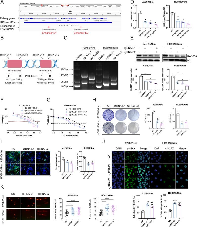 https://cdn.ncbi.nlm.nih.gov/pmc/blobs/9764/11921584/ba2ec3a53d09/12943_2025_2295_Fig4_HTML.jpg