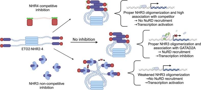 https://cdn.ncbi.nlm.nih.gov/pmc/blobs/9764/12107431/7d84567dfa86/gkaf439figgra1.jpg