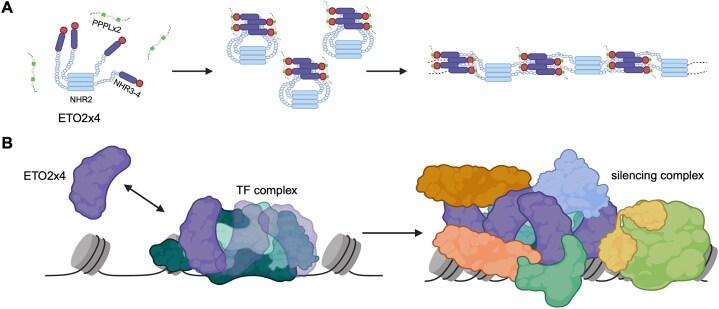 https://cdn.ncbi.nlm.nih.gov/pmc/blobs/9764/12107431/91e2e6201a18/gkaf439fig10.jpg