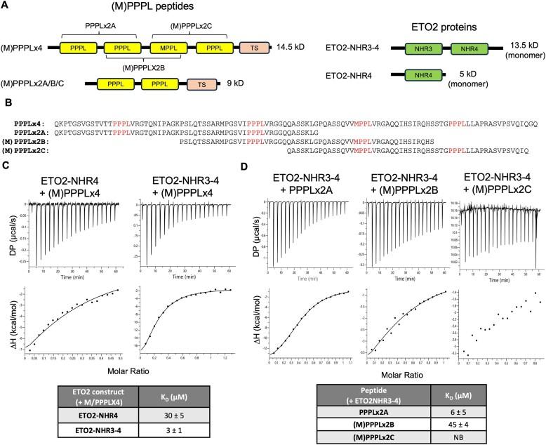 https://cdn.ncbi.nlm.nih.gov/pmc/blobs/9764/12107431/a927451e0d15/gkaf439fig4.jpg