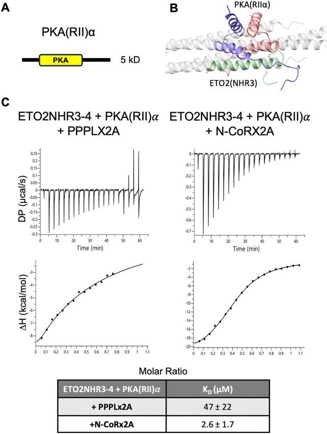 https://cdn.ncbi.nlm.nih.gov/pmc/blobs/9764/12107431/c3325c5e0429/gkaf439fig8.jpg