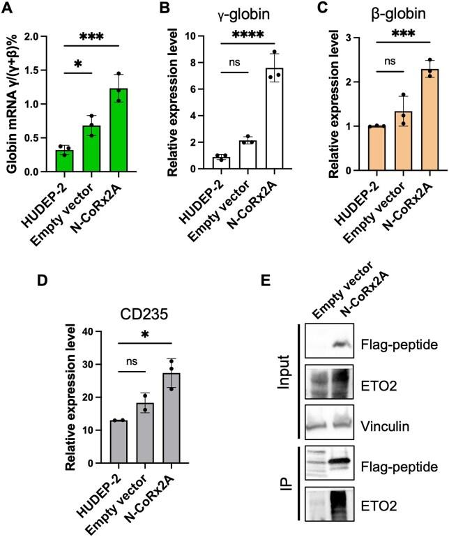 https://cdn.ncbi.nlm.nih.gov/pmc/blobs/9764/12107431/d3aac9386f54/gkaf439fig9.jpg