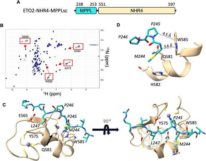 https://cdn.ncbi.nlm.nih.gov/pmc/blobs/9764/12107431/ee02e6e81ff3/gkaf439fig2.jpg