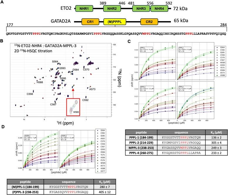 https://cdn.ncbi.nlm.nih.gov/pmc/blobs/9764/12107431/f86ea5e8d38e/gkaf439fig1.jpg