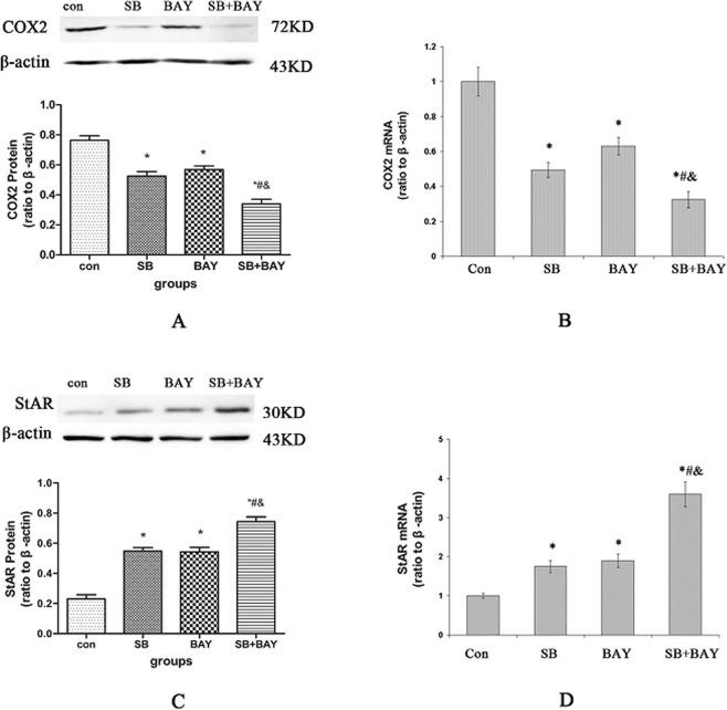 https://cdn.ncbi.nlm.nih.gov/pmc/blobs/9766/6646396/0390df49db40/41598_2019_46794_Fig9_HTML.jpg