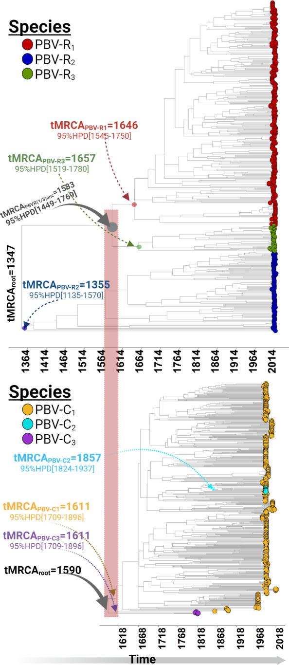 https://cdn.ncbi.nlm.nih.gov/pmc/blobs/9767/10714727/a238ef7f29bb/spectrum.02693-23.f001.jpg