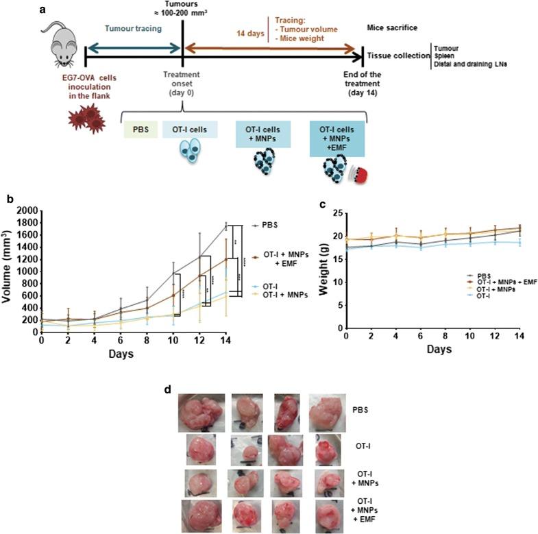 https://cdn.ncbi.nlm.nih.gov/pmc/blobs/9769/6683429/08719badbc60/12951_2019_520_Fig7_HTML.jpg