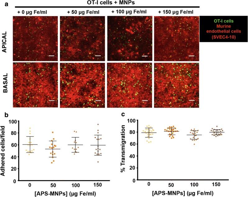 https://cdn.ncbi.nlm.nih.gov/pmc/blobs/9769/6683429/adf3efe36292/12951_2019_520_Fig5_HTML.jpg