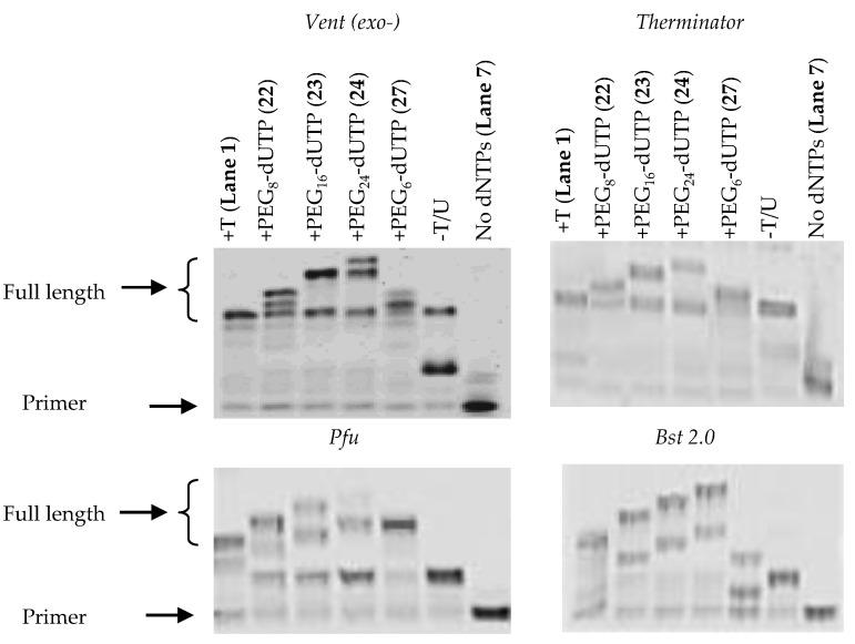 https://cdn.ncbi.nlm.nih.gov/pmc/blobs/9769/8069024/176c880f0830/molecules-26-02250-g005.jpg
