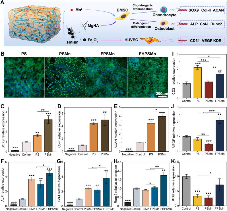 https://cdn.ncbi.nlm.nih.gov/pmc/blobs/976a/11985089/a4e96e709e65/gr4.jpg
