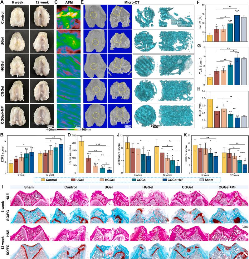 https://cdn.ncbi.nlm.nih.gov/pmc/blobs/976a/11985089/e62b23a41288/gr6.jpg