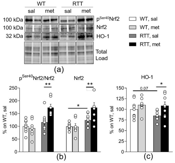 https://cdn.ncbi.nlm.nih.gov/pmc/blobs/976e/7355965/7b8a31c4da08/jcm-09-01669-g006.jpg