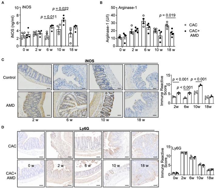 https://cdn.ncbi.nlm.nih.gov/pmc/blobs/976e/9126482/135da49644d9/fmed-09-840704-g0004.jpg