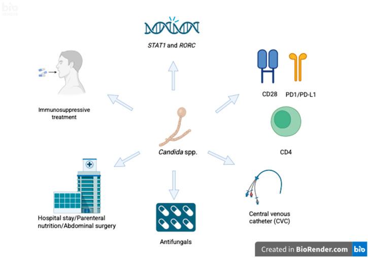 https://cdn.ncbi.nlm.nih.gov/pmc/blobs/976f/12389578/fcd8e54388f1/pathogens-14-00806-g002.jpg