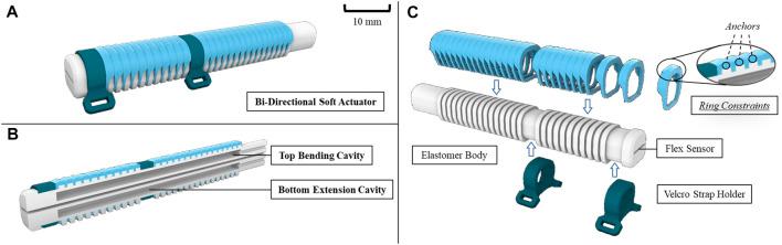 https://cdn.ncbi.nlm.nih.gov/pmc/blobs/9770/10354247/786b4ae9d655/fbioe-11-1188996-g002.jpg