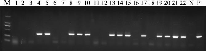 https://cdn.ncbi.nlm.nih.gov/pmc/blobs/9771/11837710/bfb49aacf947/12917_2025_4531_Fig2_HTML.jpg
