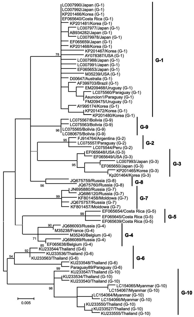 https://cdn.ncbi.nlm.nih.gov/pmc/blobs/9772/10812804/abe32eb74dda/animals-14-00297-g002.jpg