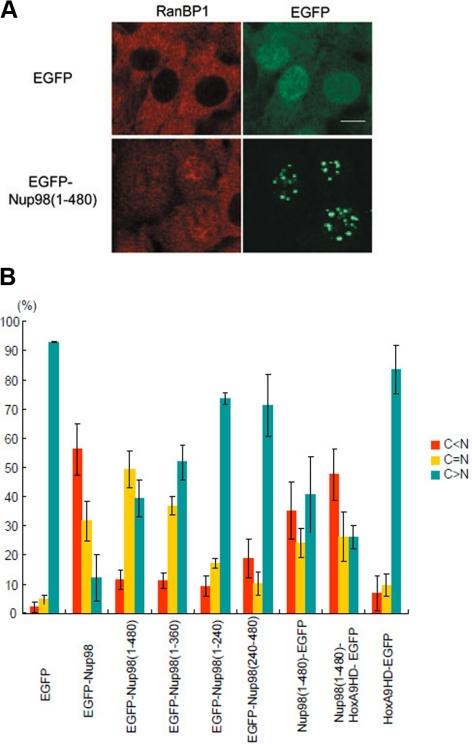 https://cdn.ncbi.nlm.nih.gov/pmc/blobs/9772/2877646/08d2edde1eed/zmk0111094600003.jpg
