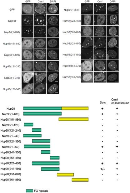 https://cdn.ncbi.nlm.nih.gov/pmc/blobs/9772/2877646/64b99cd32b83/zmk0111094600002.jpg