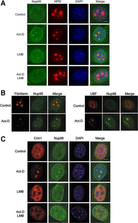 https://cdn.ncbi.nlm.nih.gov/pmc/blobs/9772/2877646/733ba552d190/zmk0111094600007.jpg