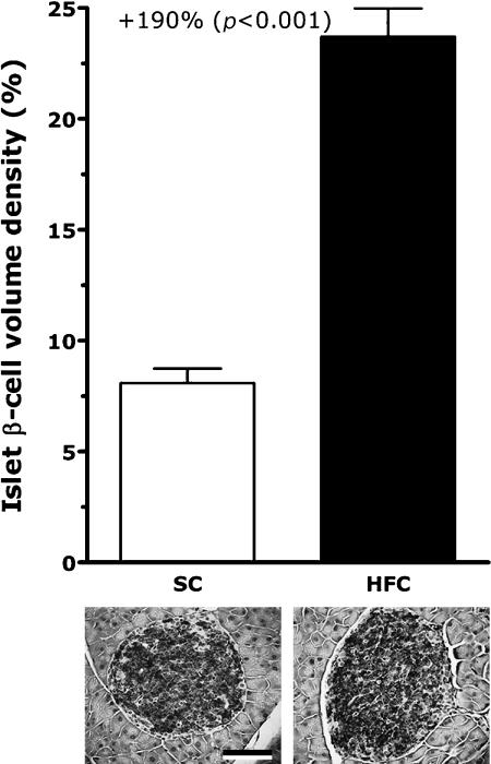 https://cdn.ncbi.nlm.nih.gov/pmc/blobs/9774/2872226/7dded659b20d/jcbn09-83f08.jpg