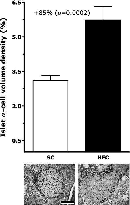 https://cdn.ncbi.nlm.nih.gov/pmc/blobs/9774/2872226/ffaad0be7682/jcbn09-83f07.jpg
